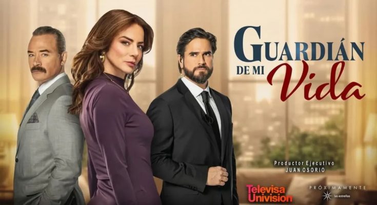 Guardián de mi vida Capítulo 71 Completo